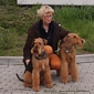 airedale-674