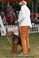 airedale-689