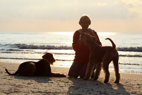 airedale-terrier200