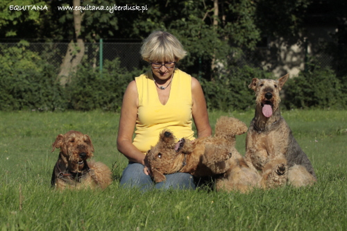 airedale-terrier360