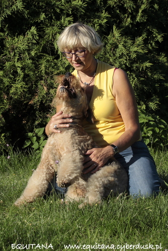 airedale-terrier365